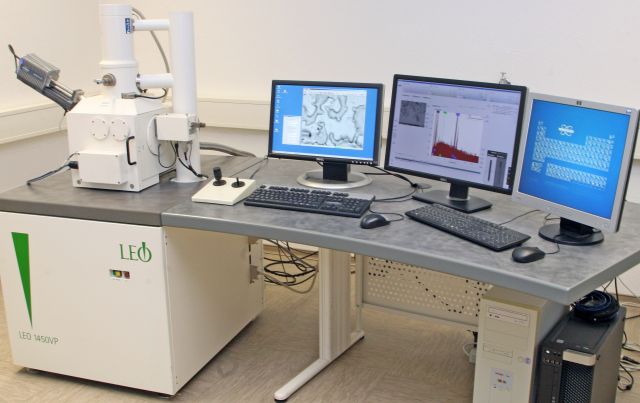 Rasterelektronenmikroskopie (REM) mit Mikroanalysensystem (EDX)